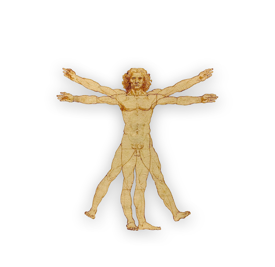 Vitruvian Man